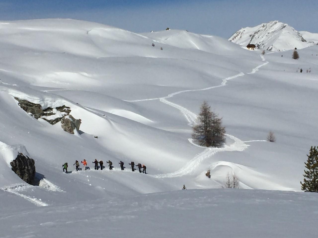 Ski de fond col des sarailles