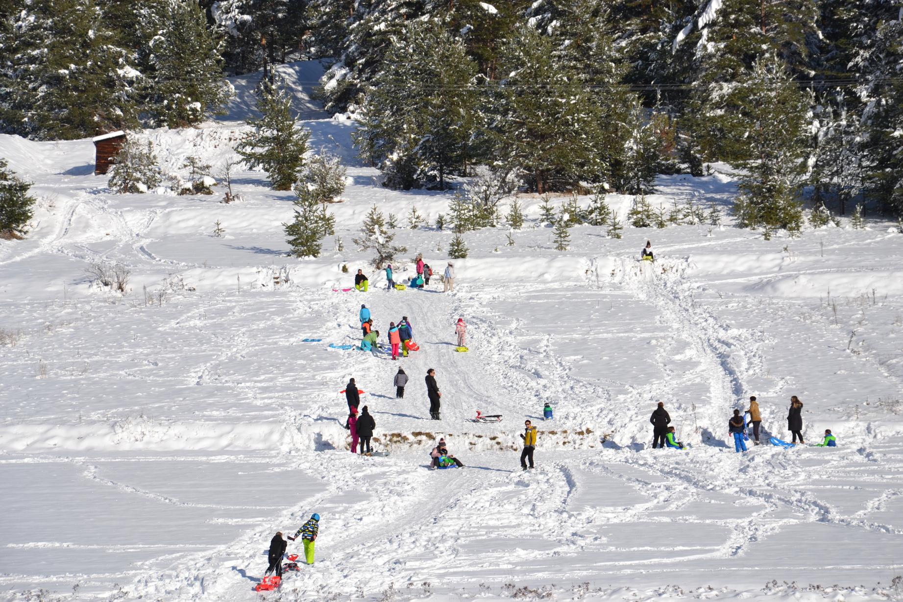 lescale-ludo-sporitive-bois-des-alberts-location-luges-pistes-hiver